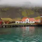 Adventures on South Georgia Island14