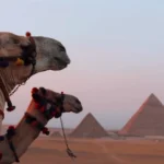 Explore Ancient Egypt's Pyramids29