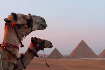 Explore Ancient Egypt's Pyramids29