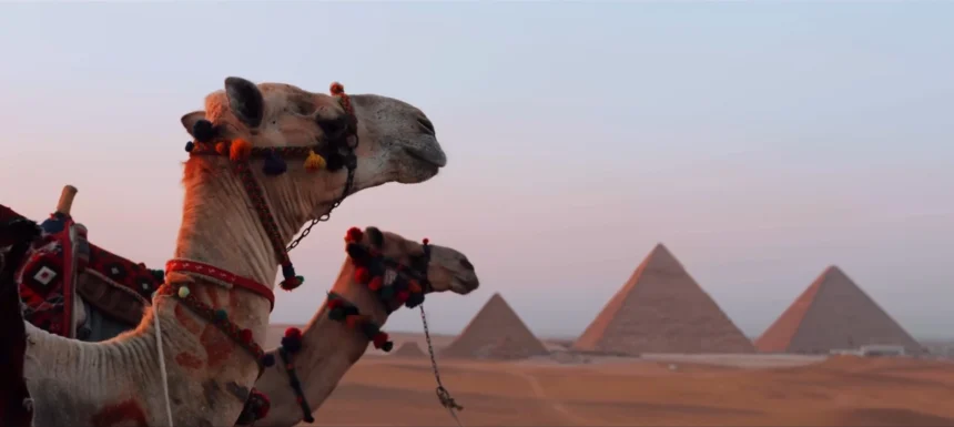 Explore Ancient Egypt's Pyramids29