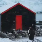 Historic Huts of Ross Sea4