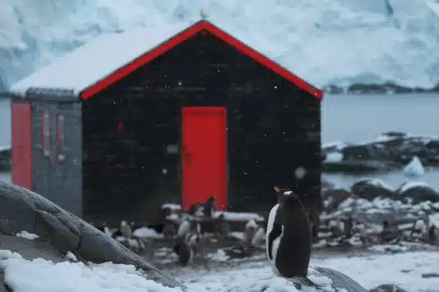 Historic Huts of Ross Sea4