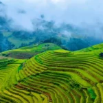 Rice Terraces of Sapa, Vietnam