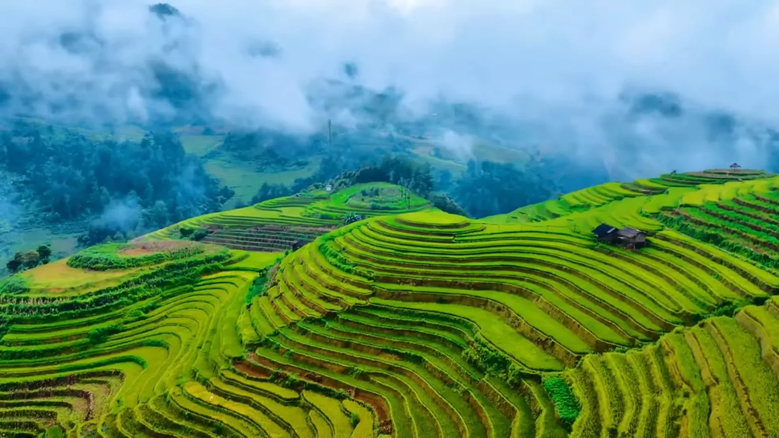 Rice Terraces of Sapa, Vietnam